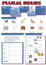 PLURAL NOUNS