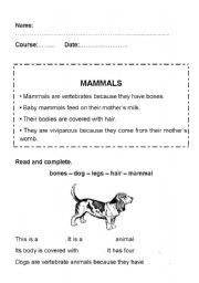 English Worksheet: Mammals