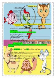 English Worksheet: Our lovely PETS!
