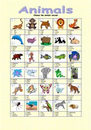 English Worksheet: Animals - multiple choice (key included)