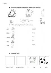 English Worksheet: Adjectives