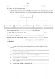 English worksheet: Restaurant, hotel, kitchen staff