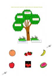 English Worksheet: FRUITS