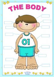 English Worksheet: The Body  (for boys)