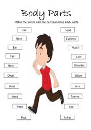 English Worksheet: Body Parts