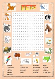 English Worksheet: Wordsearch : pets