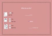 English Worksheet: Likes and dislikes
