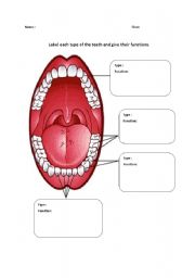 English worksheet: Teeth