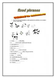 English worksheet: fixed phrases animals