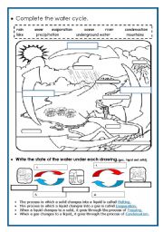 The water cycle - ESL worksheet by piedadrosell