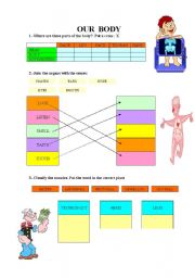 English Worksheet: Our body