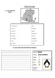 English worksheet: Wild Animals