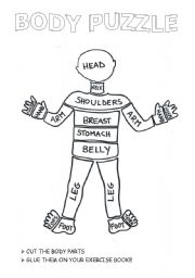 English Worksheet: The crazy body puzzle