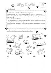 English Worksheet: My pets