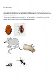English Worksheet: Pest Prevention