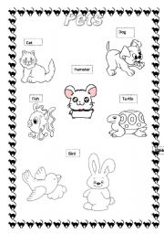 English Worksheet: Pets