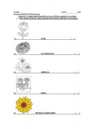 English worksheet: flowers