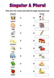 English Worksheet: Matching Worksheet for Singular and Plural (very easy)