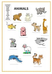 English Worksheet: Animals 1