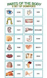 English Worksheet: PARTS OF THE BODY- 32 DOMINOES -RULES INCLUDED