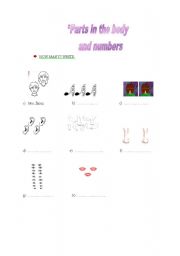 English Worksheet: parts in the body
