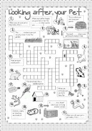 Crossword - Looking after your Pet