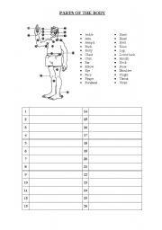 English Worksheet: Parts of the body