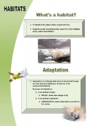 English Worksheet: HABITATS 1