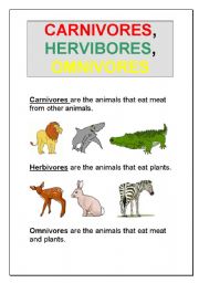 English Worksheet: Carnivores, Herbivores, Omnivores