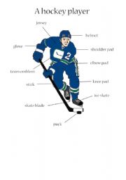 English Worksheet: Hockey equipment