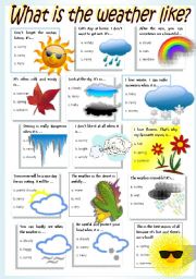 English Worksheet: WEATHER & SEASONS