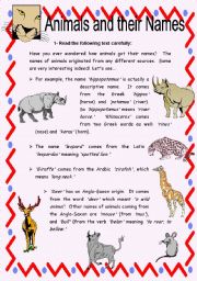 Animals and their Names - Reading Comprehension with Key