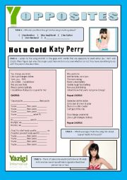 English Worksheet: Song Activity - Hot N Cold - Katy Perry [Opposites]