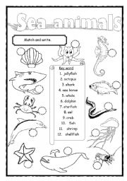 English Worksheet: Sea animals