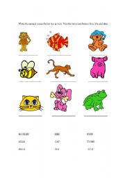 English worksheet: Animals