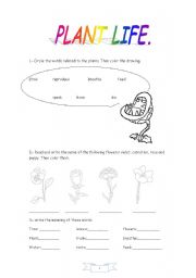 English worksheet: plants life