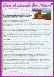 English Worksheet: Can animals be nice? reading comprehension