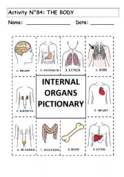 No 84:  THE BODY   INTERNAL ORGANS PICTIONARY