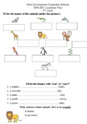 English Worksheet: animals, toys and reading- revision