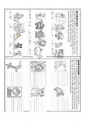 English Worksheet: Mammals and Reptiles