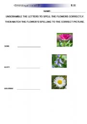 English worksheet: spelling/ matching flower worksheet
