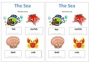 English Worksheet: The Sea