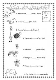 English Worksheet: big or small