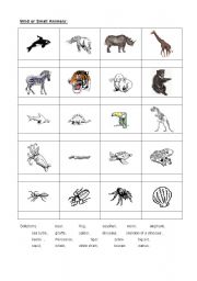 English Worksheet: Animals