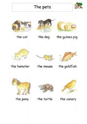 English Worksheet: Pets