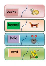 English Worksheet: animal homes