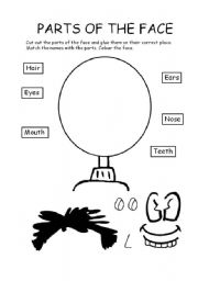 English Worksheet: Parts of the face