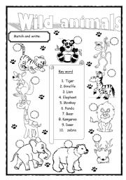 English Worksheet: Wild animals