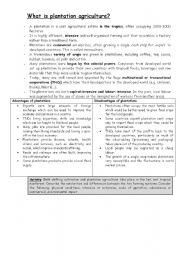 English Worksheet: Plantation Agriculture