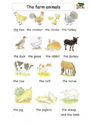 English Worksheet: Farm Animals